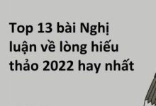 TOP 14 bài Nghị luận về lòng hiếu thảo 2023 SIÊU HAY