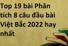 Top 21 bài Phân tích 8 câu đầu bài Việt Bắc 2023 hay nhất
