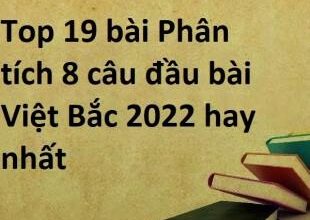 Top 21 bài Phân tích 8 câu đầu bài Việt Bắc 2023 hay nhất